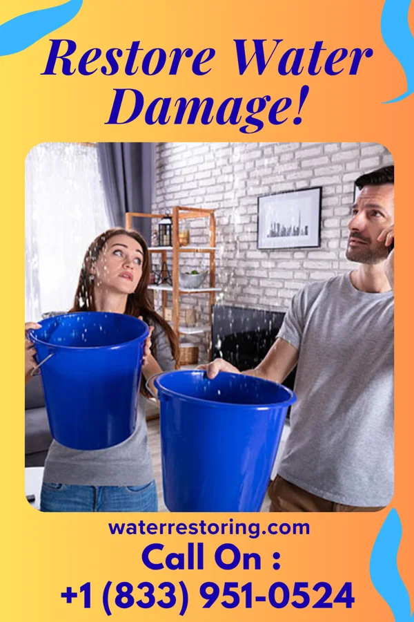 water restoration Priority Flood Cleanup LLC Agnew