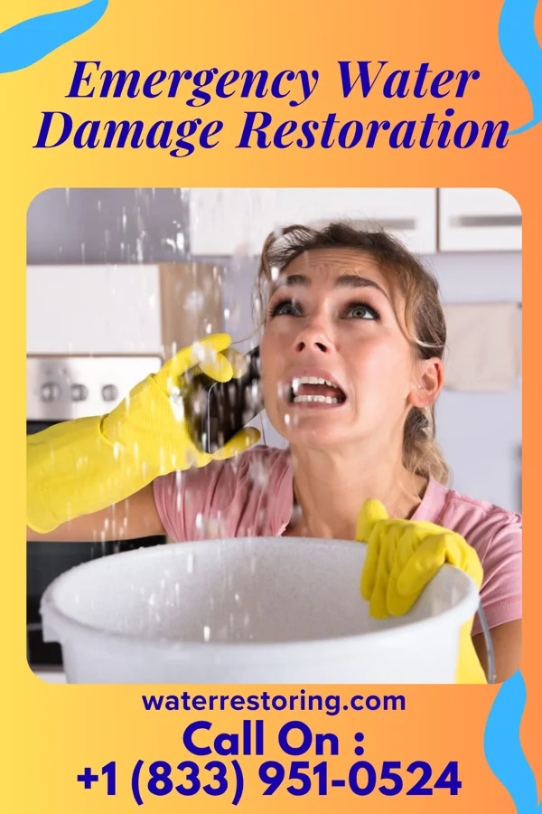 Emergency Water Damage Restoration in Agnew, NE