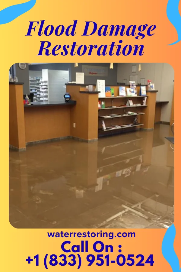 Flood Damage Restoration in Agnew, NE